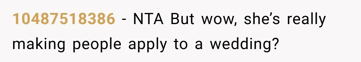 Sister Forces Family to Write 250-Word Essays to Attend Her Wedding - But One Guest Refuses to Grovel 10487518386 − NTA But wow, she’s really making people apply to a wedding?