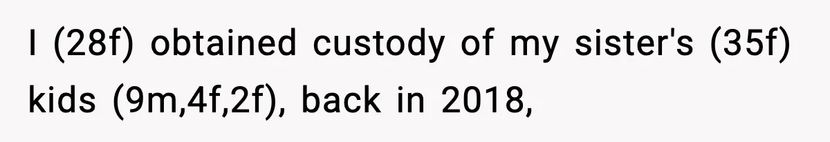 Woman Refuses To Let Newly Freed Sister See Her Kids, Family Calls Her “Cruel” I (28f) obtained custody of my sister's (35f) kids (9m,4f,2f), back in 2018,