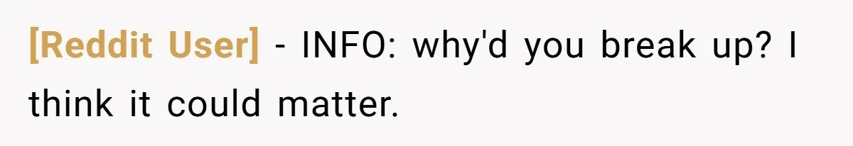 [Reddit User] − INFO: why'd you break up? I think it could matter.