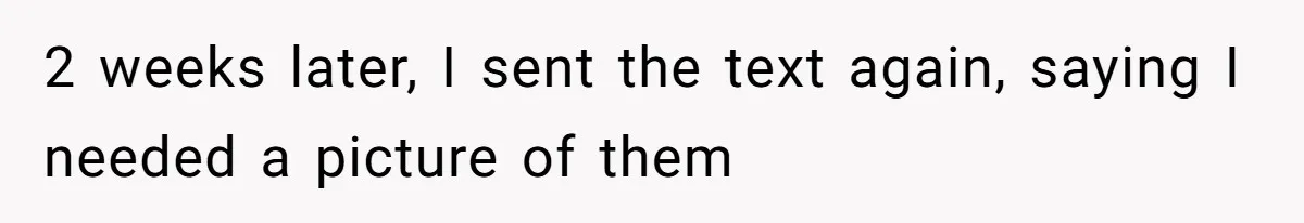Family Explodes After Woman Swaps Missing Cousins’ Pics With Her Dog In A Sombrero 2 weeks later, I sent the text again, saying I needed a picture of them