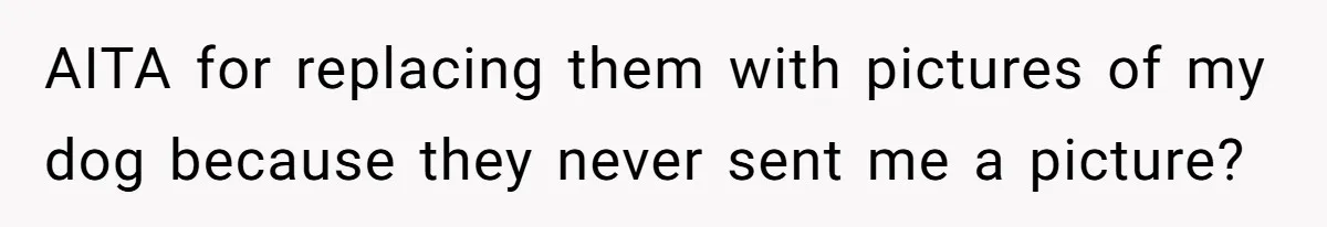 Family Explodes After Woman Swaps Missing Cousins’ Pics With Her Dog In A Sombrero AITA for replacing them with pictures of my dog because they never sent me a picture?