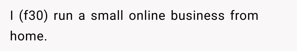 Girlfriend Refuses December Chores, Boyfriend Calls Her “Lazy” While Living In Her House I (f30) run a small online business from home.