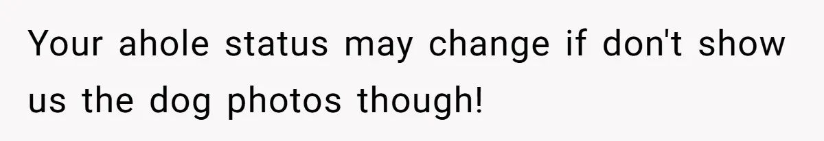 Family Explodes After Woman Swaps Missing Cousins’ Pics With Her Dog In A Sombrero Your ahole status may change if don't show us the dog photos though!