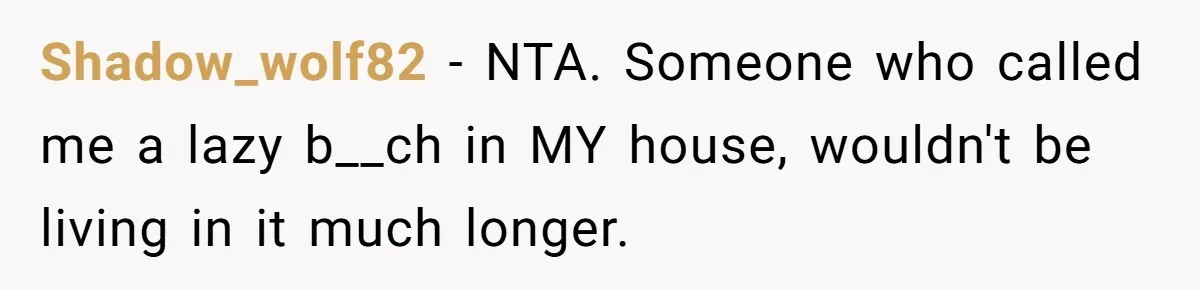 Girlfriend Refuses December Chores, Boyfriend Calls Her “Lazy” While Living In Her House Shadow_wolf82 − NTA. Someone who called me a lazy b__ch in MY house, wouldn't be living in it much longer.