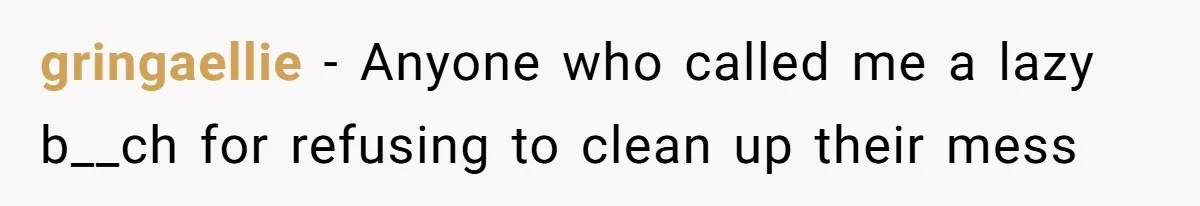 Girlfriend Refuses December Chores, Boyfriend Calls Her “Lazy” While Living In Her House gringaellie − Anyone who called me a lazy b__ch for refusing to clean up their mess