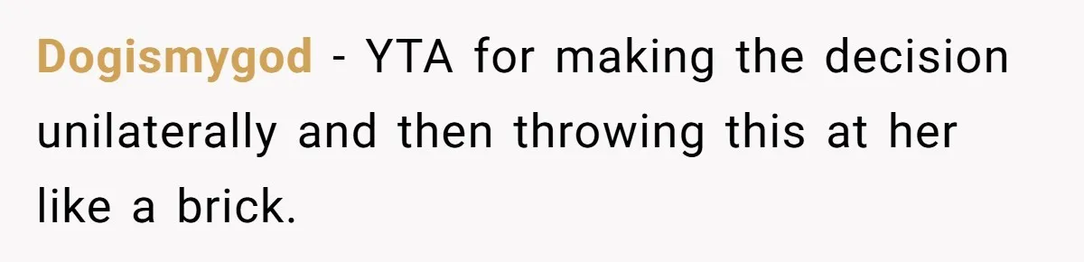 He Told His Wife She Could Leave Because He Was Taking Custody of His Brother Dogismygod − YTA for making the decision unilaterally and then throwing this at her like a brick.