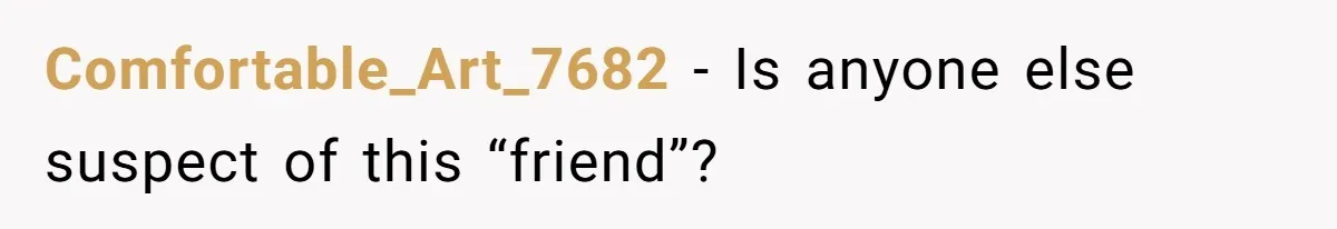 He Booked First Class for Himself and a Friend, and She Got Economy Comfortable_Art_7682 − Is anyone else suspect of this “friend”?