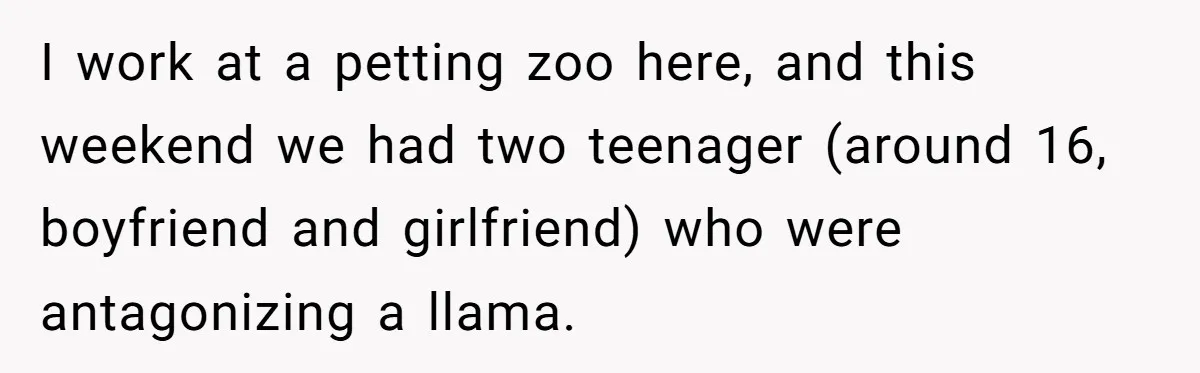 Teenagers Antagonized a Llama - and the Employee Let Nature Handle the Consequences I work at a petting zoo here, and this weekend we had two teenager (around 16, boyfriend and girlfriend) who were antagonizing a llama.