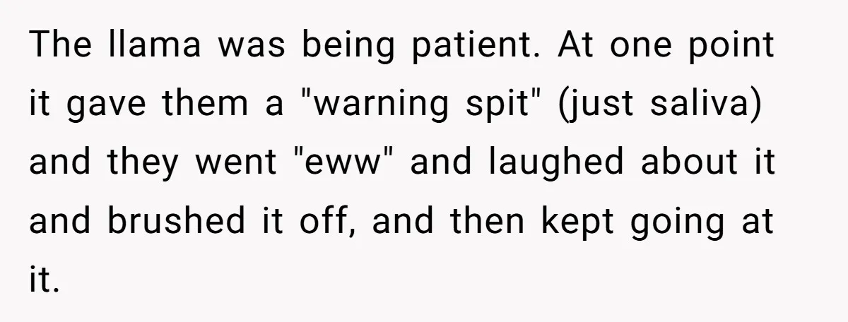 Teenagers Antagonized a Llama - and the Employee Let Nature Handle the Consequences The llama was being patient. At one point it gave them a "warning spit" (just saliva) and they went "eww" and laughed about it and brushed it off, and then...