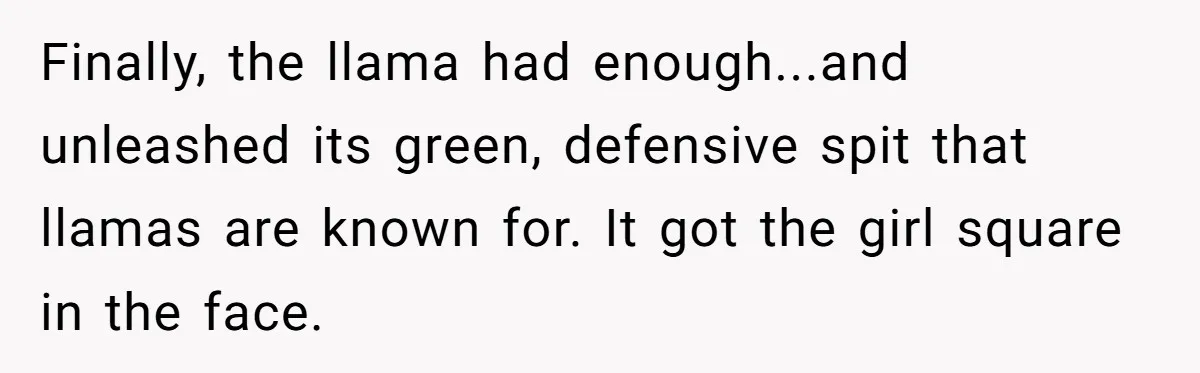 Teenagers Antagonized a Llama - and the Employee Let Nature Handle the Consequences Finally, the llama had enough...and unleashed its green, defensive spit that llamas are known for. It got the girl square in the face.