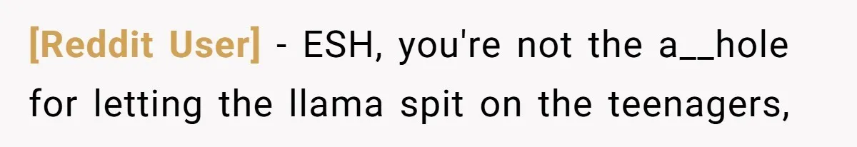 [Reddit User] − ESH, you're not the a__hole for letting the llama spit on the teenagers,