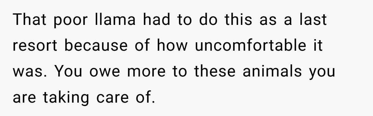 Teenagers Antagonized a Llama - and the Employee Let Nature Handle the Consequences That poor llama had to do this as a last resort because of how uncomfortable it was. You owe more to these animals you are taking care of.