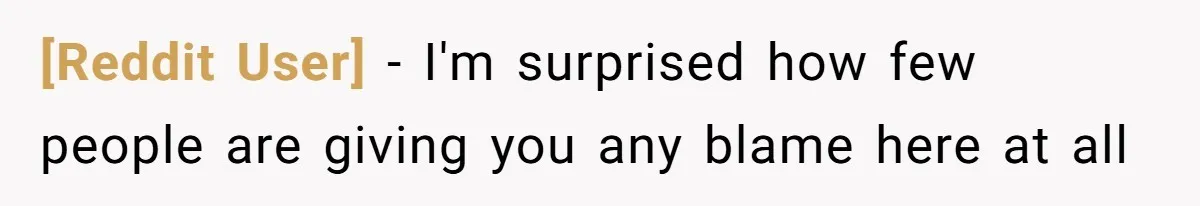 [Reddit User] − I'm surprised how few people are giving you any blame here at all