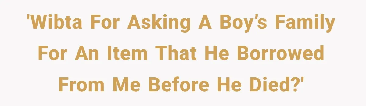 A 14-Year-Old Battles Himself Over Reclaiming His Sentimental Sweater From A Late Classmate's Family 'WIBTA for asking a boy’s family for an item that he borrowed from me before he died?'