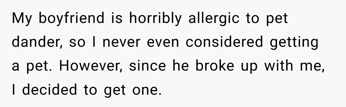 Woman Adopts Allergic Boyfriend's Worst Nightmare After He Vanishes For Six Weeks On 'Pause' My boyfriend is horribly allergic to pet dander, so I never even considered getting a pet. However, since he broke up with me, I decided to get one.