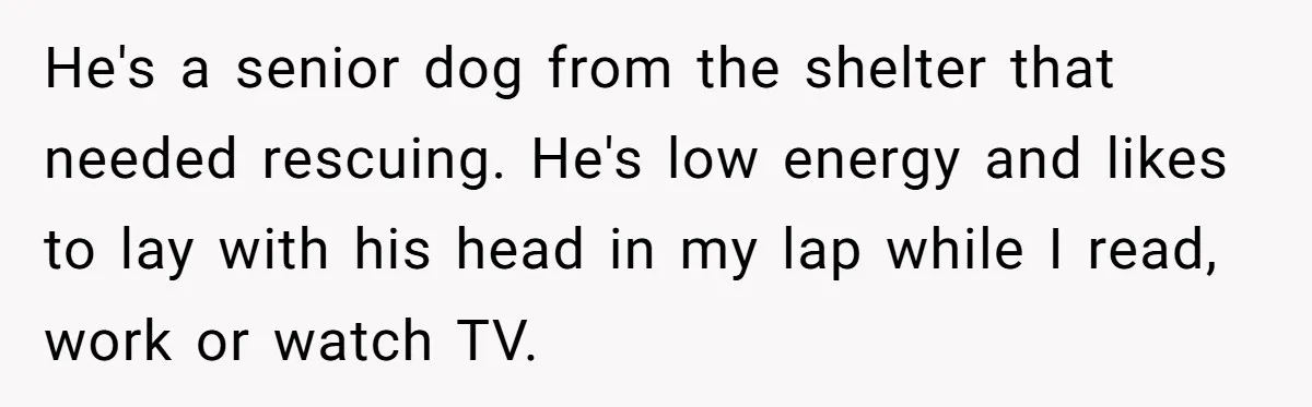 Woman Adopts Allergic Boyfriend's Worst Nightmare After He Vanishes For Six Weeks On 'Pause' He's a senior dog from the shelter that needed rescuing. He's low energy and likes to lay with his head in my lap while I read, work or watch TV.