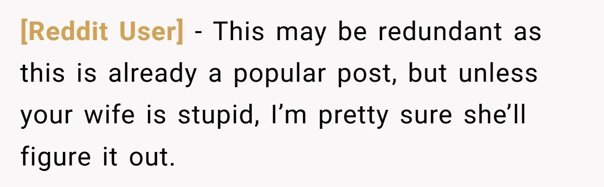 [Reddit User] − This may be redundant as this is already a popular post, but unless your wife is stupid, I’m pretty sure she’ll figure it out.