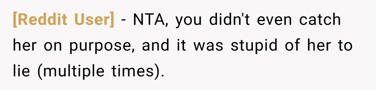 [Reddit User] − NTA, you didn't even catch her on purpose, and it was stupid of her to lie (multiple times).