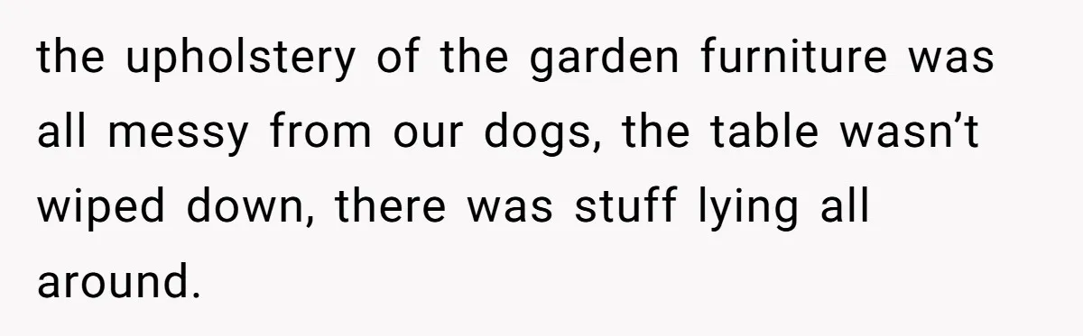 Husband Threw a BBQ for His Friends. Wife Didn’t Help… and the Whole Party Fell Apart the upholstery of the garden furniture was all messy from our dogs, the table wasn’t wiped down, there was stuff lying all around.
