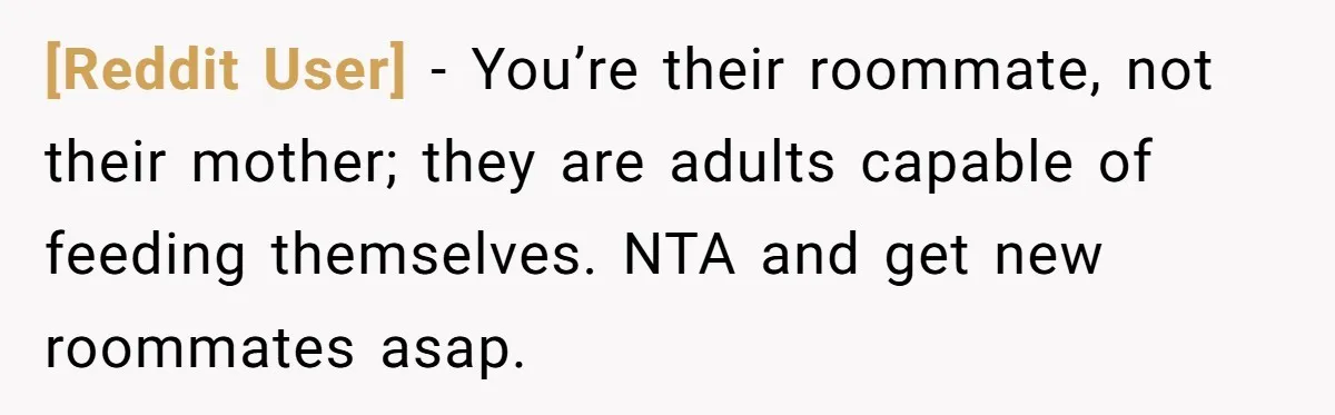 [Reddit User] − You’re their roommate, not their mother; they are adults capable of feeding themselves. NTA and get new roommates asap.