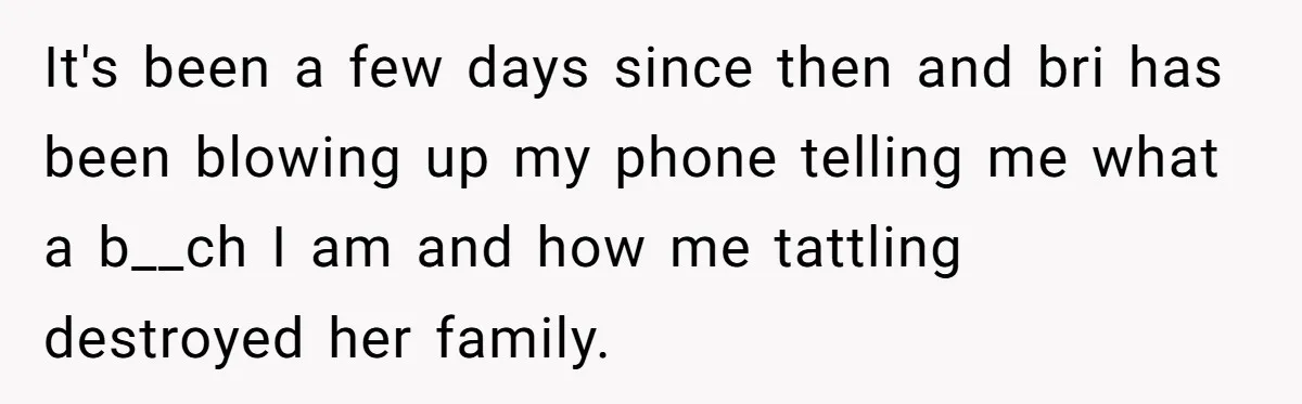 Teen Calls Brother After Sister-In-Law Dumps Her At A Pool And Accidentally Blows Up Their Marriage It's been a few days since then and bri has been blowing up my phone telling me what a b__ch I am and how me tattling destroyed her family.