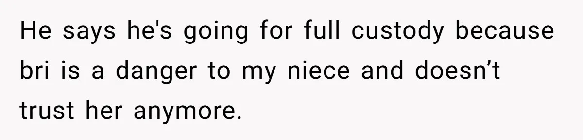 Teen Calls Brother After Sister-In-Law Dumps Her At A Pool And Accidentally Blows Up Their Marriage He says he's going for full custody because bri is a danger to my niece and doesn’t trust her anymore.