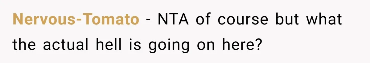 Her Family Demanded She Give Her Brother Her New House - and Disowned Her When She Said No Nervous-Tomato − NTA of course but what the actual hell is going on here?