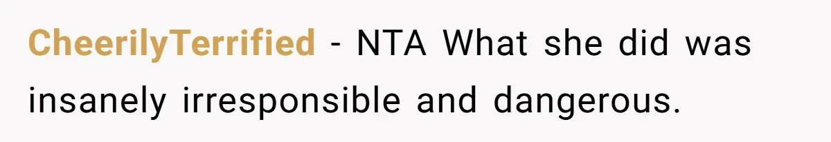 Teen Calls Brother After Sister-In-Law Dumps Her At A Pool And Accidentally Blows Up Their Marriage CheerilyTerrified − NTA What she did was insanely irresponsible and dangerous.