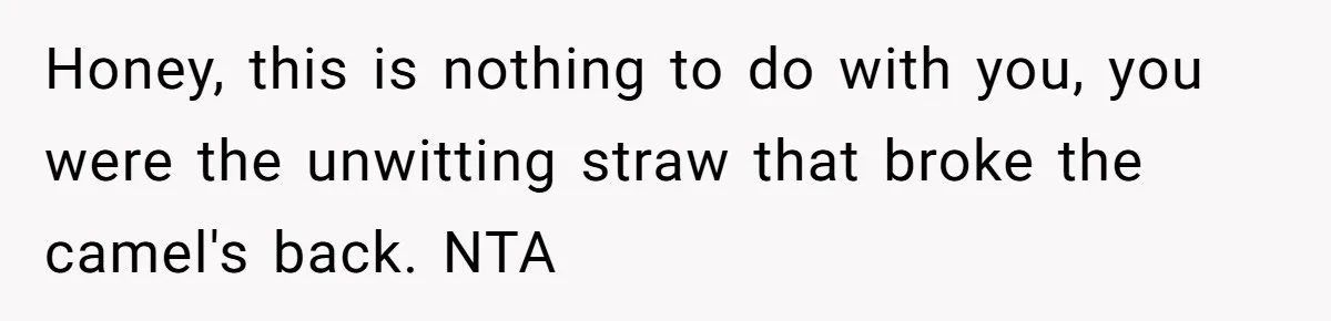 Teen Calls Brother After Sister-In-Law Dumps Her At A Pool And Accidentally Blows Up Their Marriage Honey, this is nothing to do with you, you were the unwitting straw that broke the camel's back. NTA