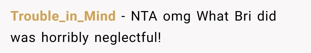 Teen Calls Brother After Sister-In-Law Dumps Her At A Pool And Accidentally Blows Up Their Marriage Trouble_in_Mind − NTA omg What Bri did was horribly neglectful!