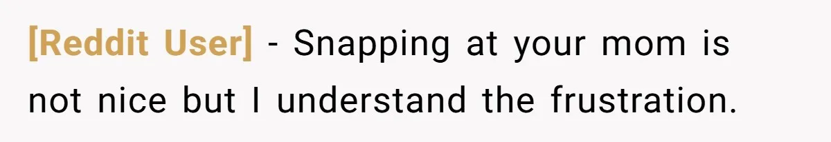 [Reddit User] − Snapping at your mom is not nice but I understand the frustration.