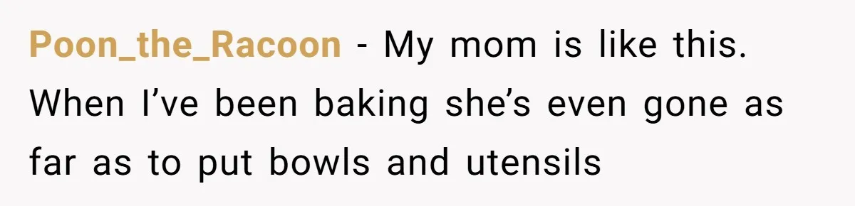 Mom Insists On Sharing The Kitchen Every Morning, Daughter Finally Loses Patience Poon_the_Racoon − My mom is like this. When I’ve been baking she’s even gone as far as to put bowls and utensils
