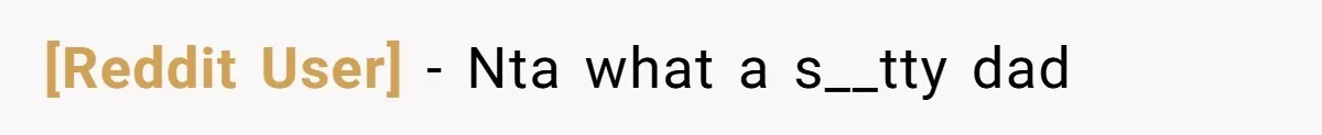 [Reddit User] − Nta what a s__tty dad