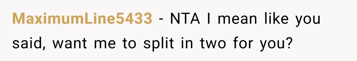 Plus-Size Woman Books Two Seats For Comfort, Gets Shamed For Not Sharing With Family MaximumLine5433 − NTA I mean like you said, want me to split in two for you?