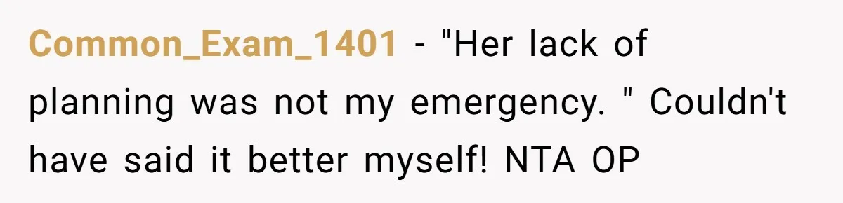 Plus-Size Woman Books Two Seats For Comfort, Gets Shamed For Not Sharing With Family Common_Exam_1401 − "Her lack of planning was not my emergency. " Couldn't have said it better myself! NTA OP