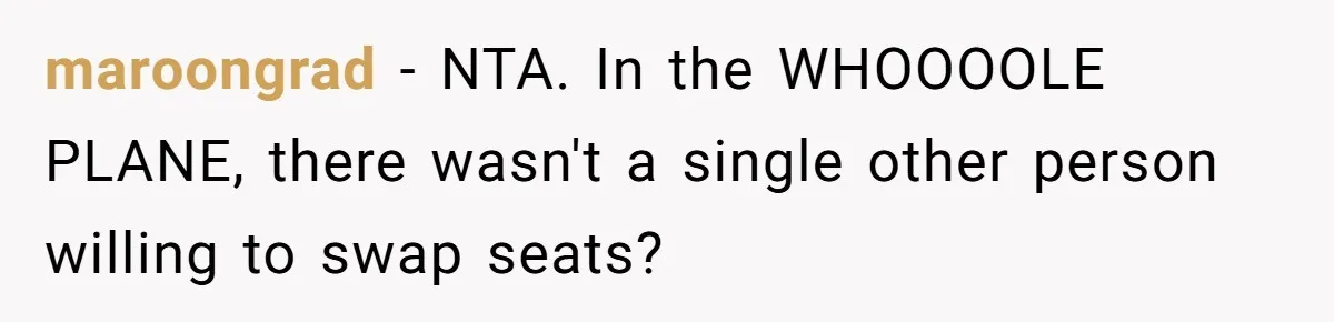 Plus-Size Woman Books Two Seats For Comfort, Gets Shamed For Not Sharing With Family maroongrad − NTA. In the WHOOOOLE PLANE, there wasn't a single other person willing to swap seats?