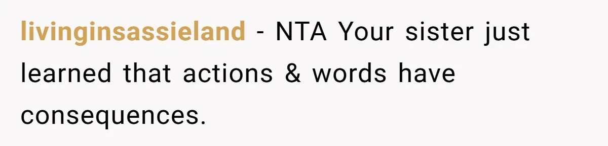 He Helped His Sister Through College, But She Thinks His Grief Timeline Makes Him A Monster livinginsassieland − NTA Your sister just learned that actions & words have consequences.