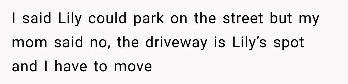 I said Lily could park on the street but my mom said no, the driveway is Lily’s spot and I have to move
