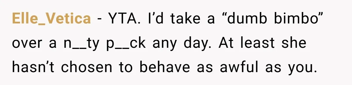 She Laughs At Brother’s Girlfriend’s Comments, Then Drops An Insult That Ends The Night Elle_Vetica − YTA. I’d take a “dumb bimbo” over a n__ty p__ck any day. At least she hasn’t chosen to behave as awful as you.