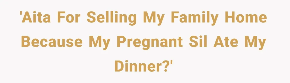 Young Woman Sells Family Home After Brother and Pregnant SIL Disrespect Her 'AITA for selling my family home because my pregnant sil ate my dinner?'
