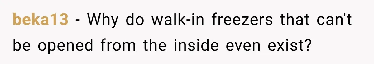Boss Who Banned Phones At Work Gets Stuck In Giant Freezer For Twenty-Five Chilly Minutes beka13 − Why do walk-in freezers that can't be opened from the inside even exist?