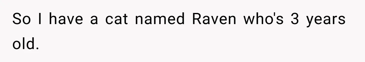 Boyfriend Comes Home To Missing Cat, Learns Girlfriend's Action And Serves Her Eviction Notice So I have a cat named Raven who's 3 years old.