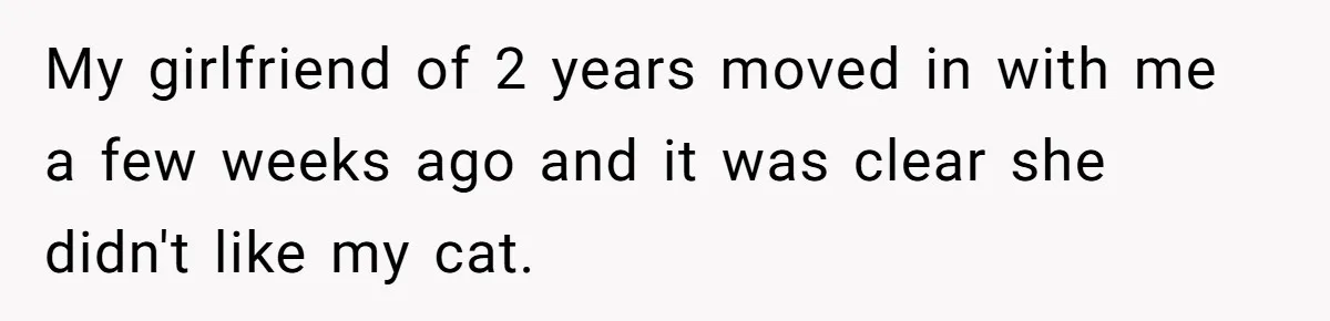 Boyfriend Comes Home To Missing Cat, Learns Girlfriend's Action And Serves Her Eviction Notice My girlfriend of 2 years moved in with me a few weeks ago and it was clear she didn't like my cat.