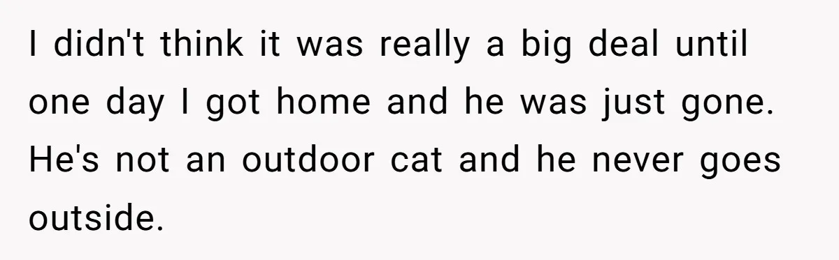Boyfriend Comes Home To Missing Cat, Learns Girlfriend's Action And Serves Her Eviction Notice I didn't think it was really a big deal until one day I got home and he was just gone. He's not an outdoor cat and he never goes outside.