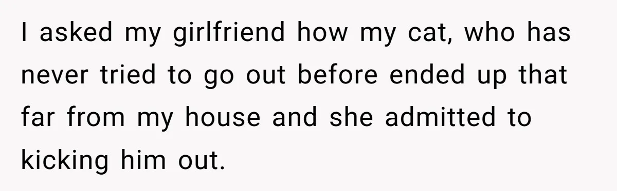 Boyfriend Comes Home To Missing Cat, Learns Girlfriend's Action And Serves Her Eviction Notice I asked my girlfriend how my cat, who has never tried to go out before ended up that far from my house and she admitted to kicking him out.