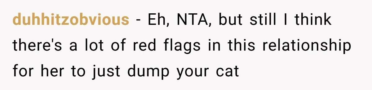Boyfriend Comes Home To Missing Cat, Learns Girlfriend's Action And Serves Her Eviction Notice duhhitzobvious − Eh, NTA, but still I think there's a lot of red flags in this relationship for her to just dump your cat