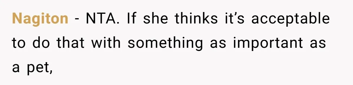 Boyfriend Comes Home To Missing Cat, Learns Girlfriend's Action And Serves Her Eviction Notice Nagiton − NTA. If she thinks it’s acceptable to do that with something as important as a pet,