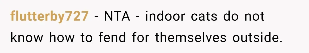 Boyfriend Comes Home To Missing Cat, Learns Girlfriend's Action And Serves Her Eviction Notice flutterby727 − NTA - indoor cats do not know how to fend for themselves outside.