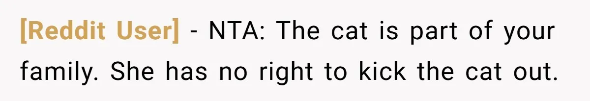 [Reddit User] − NTA: The cat is part of your family. She has no right to kick the cat out.