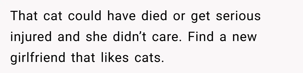 Boyfriend Comes Home To Missing Cat, Learns Girlfriend's Action And Serves Her Eviction Notice That cat could have died or get serious injured and she didn’t care. Find a new girlfriend that likes cats.